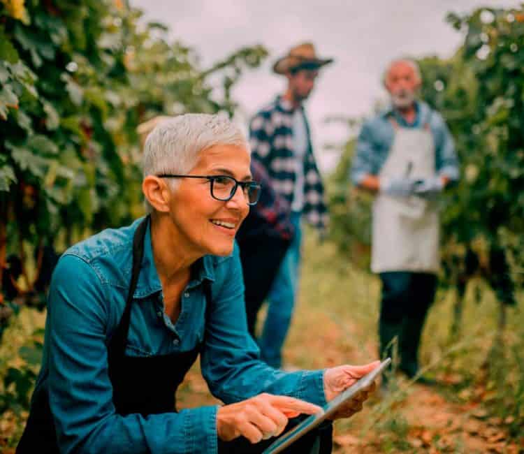 Tecnologia no agronegócio: os benefícios do BI 3