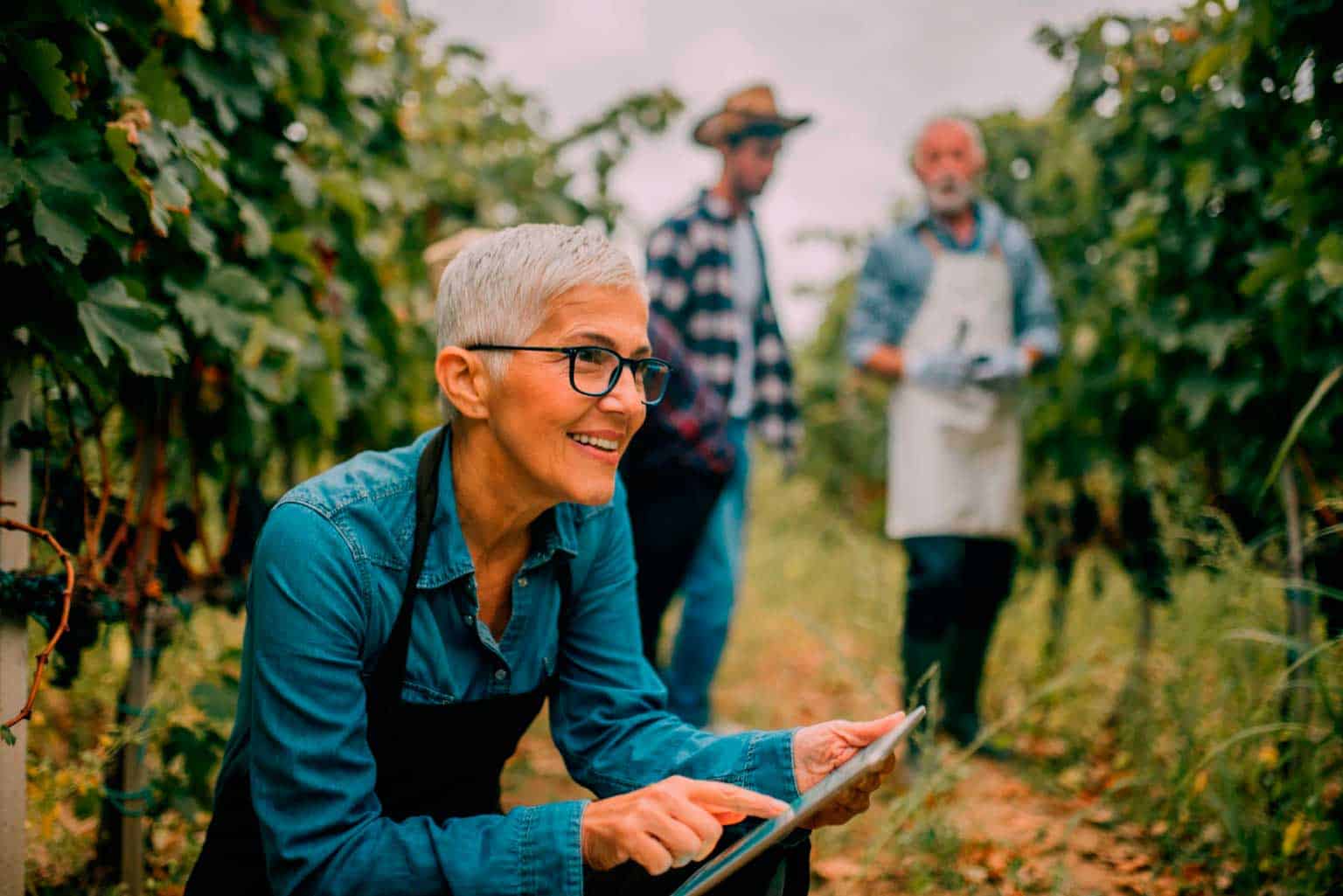 Tecnologia no agronegócio: os benefícios do BI 7